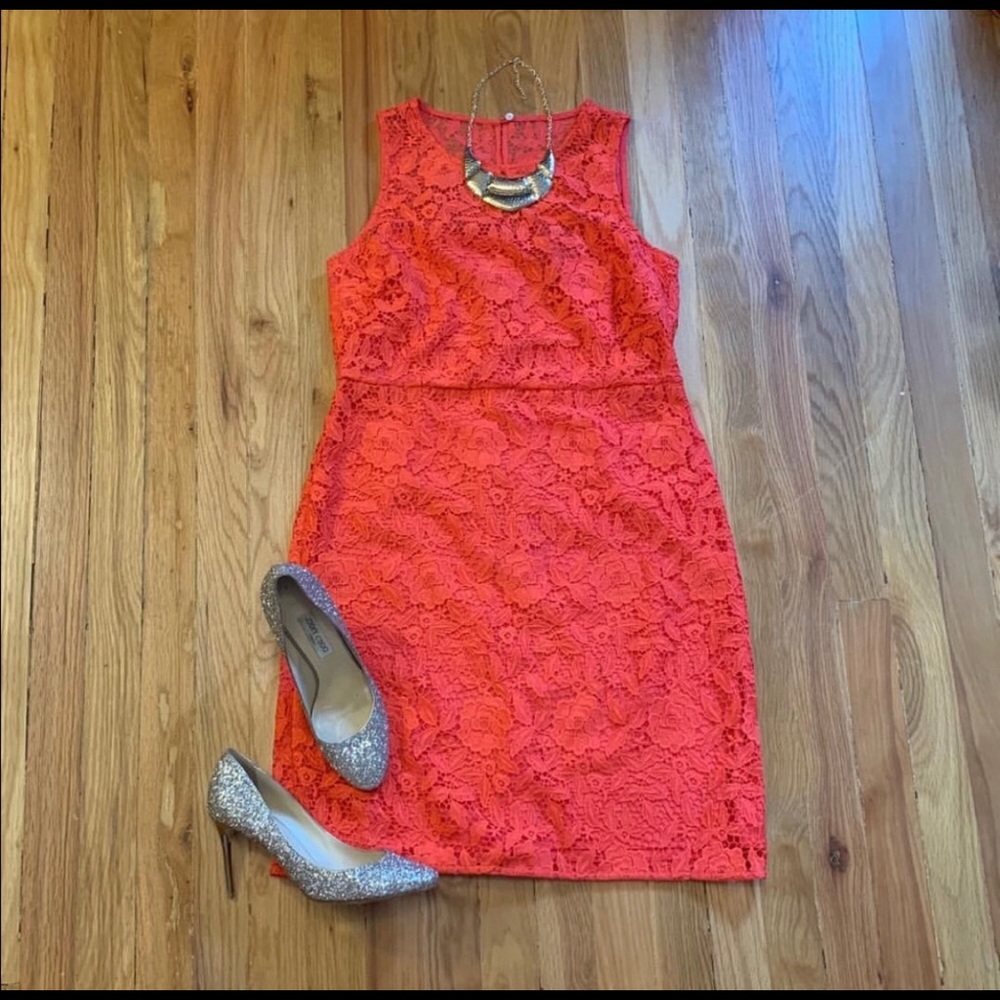 J Crew Collection NWT Red Lace Sheath Dress Sz 12